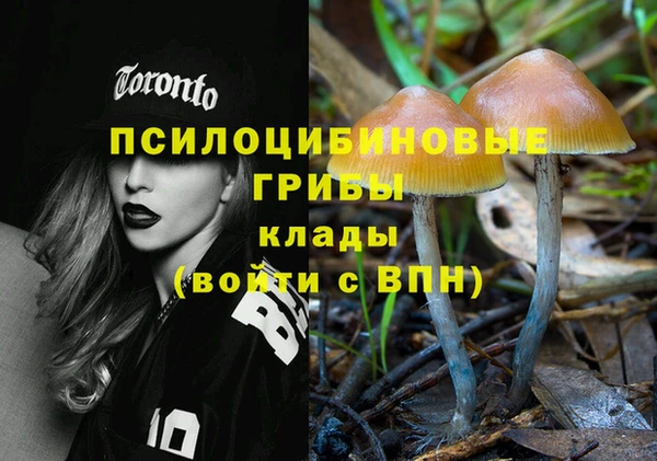 ПСИЛОЦИБИНОВЫЕ ГРИБЫ Алзамай