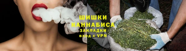 ПСИЛОЦИБИНОВЫЕ ГРИБЫ Алзамай