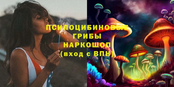 ПСИЛОЦИБИНОВЫЕ ГРИБЫ Алзамай