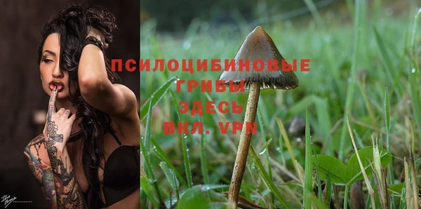 ПСИЛОЦИБИНОВЫЕ ГРИБЫ Алзамай